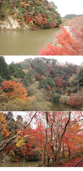 Inokawa Valley