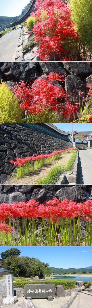 Ozu Shindenryu Swimming Birthplace