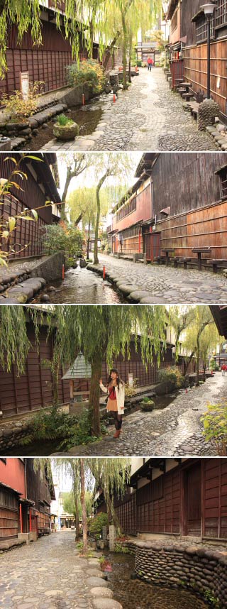 Yanaka water path