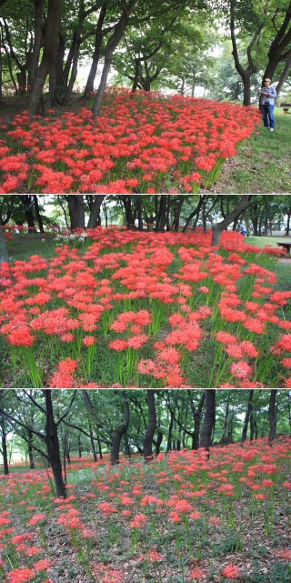 境御嶽山自然の森公園