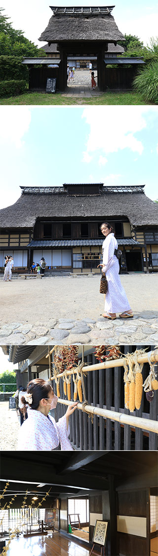 Akagi Style Folkcraft House