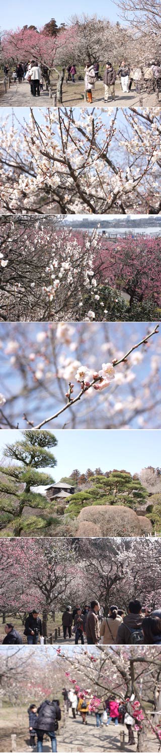 Kairakuen Garden