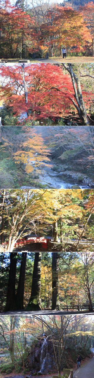 Hanazono Valley