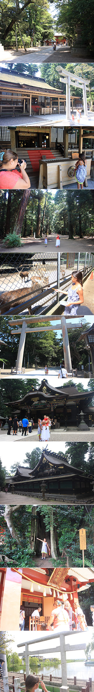 四季の旅・東国三社ツアー