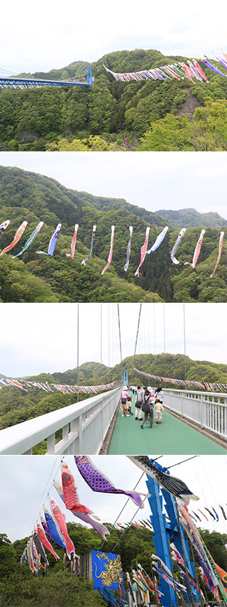 Carp Festival at Ryujinkyo