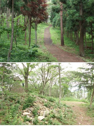 Mt. Kinkei