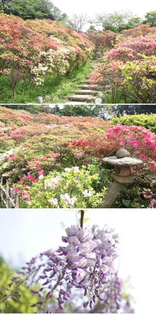 Hananoki Park
