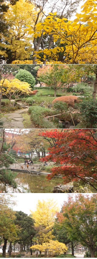 Yokohama Park