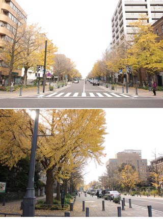 Nihonoodori