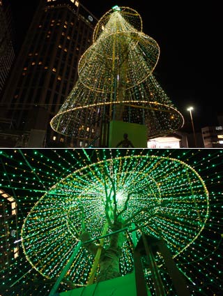 Starlight Yokohama Illumination