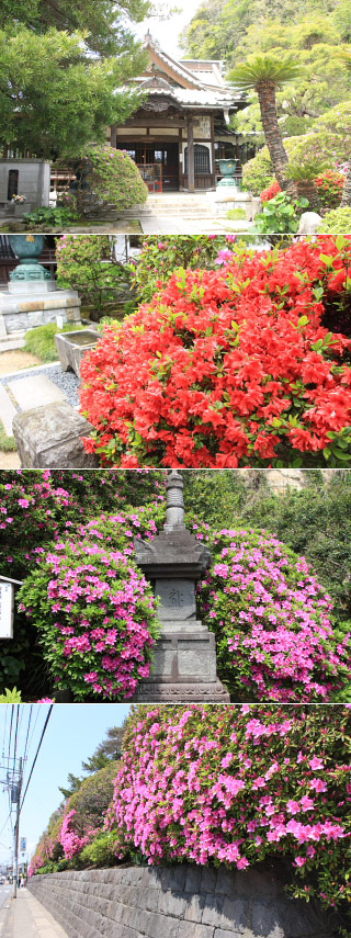 Anyoin Temple