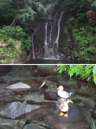 Tamadare Falls