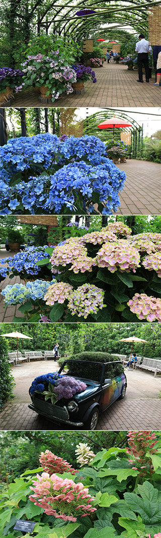 Yokohama English Garden