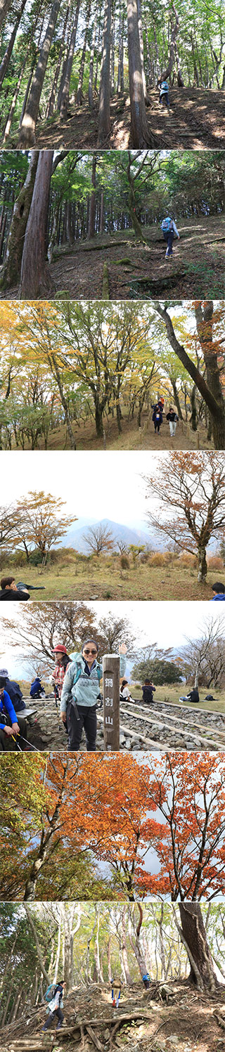 Hiking at Mt. Nabewari