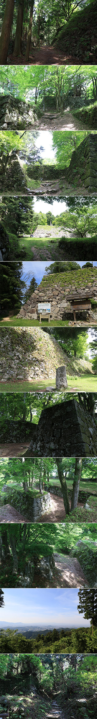 Takatori Castle