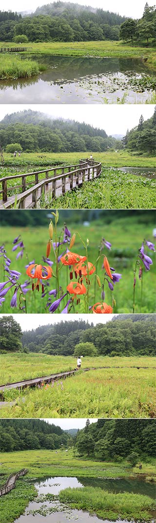 Takigashira Marsh