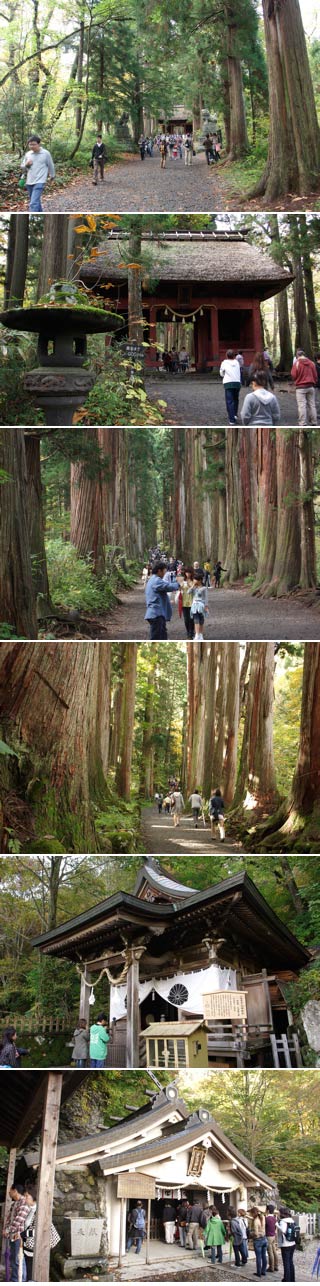 Togakushi Shrine Okusya