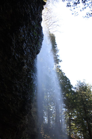 Shintaki Falls
