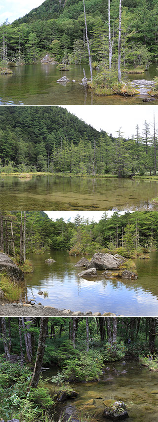 Myojin Pond