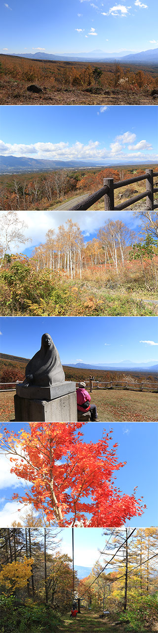 Sky Kart at Fujimi Highland