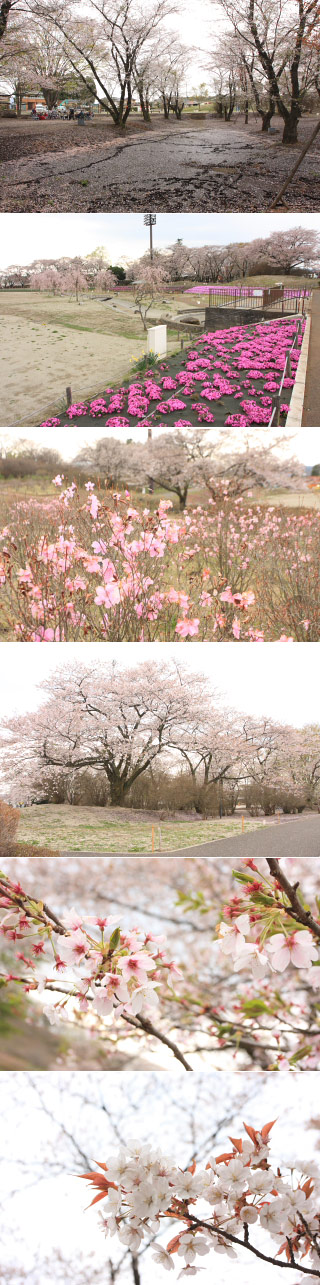 長峰公園