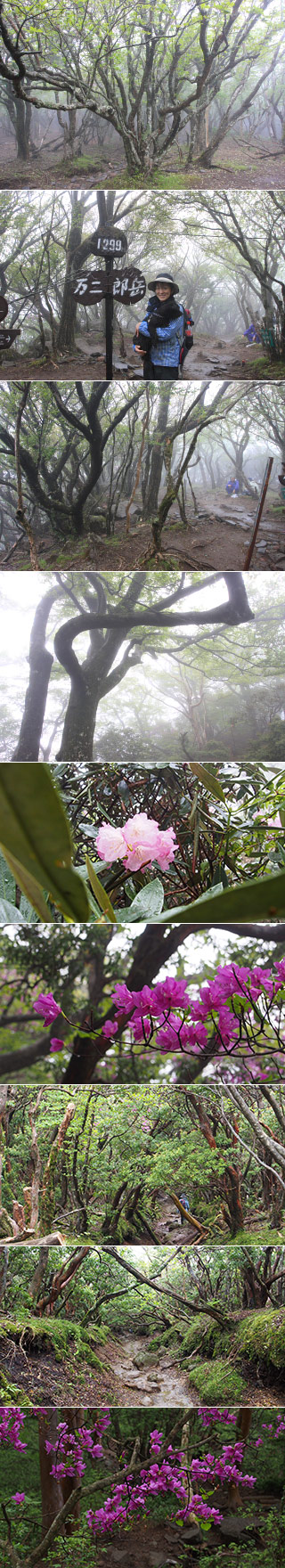 Mt. Amagi