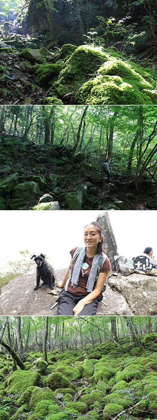 Hiking at Mt. Mafuji