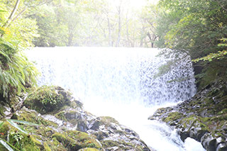 Curtain Falls