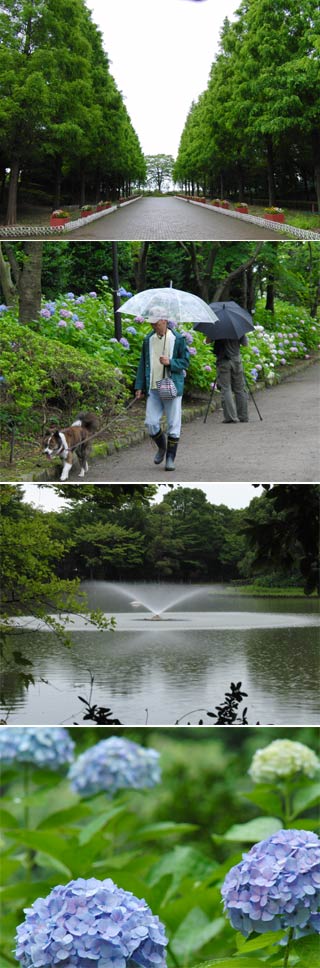 そうか公園