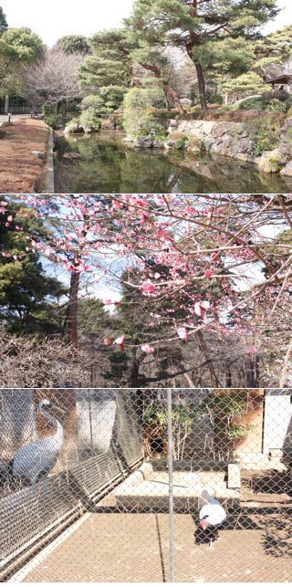 Omiya Park