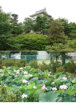 騎西城