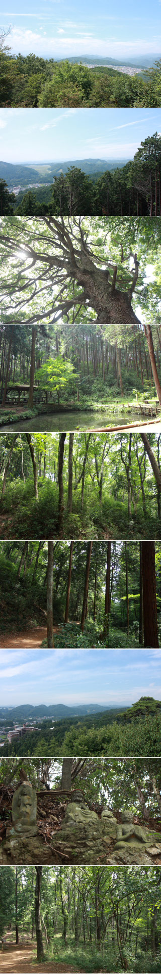 Mt.Tonosu