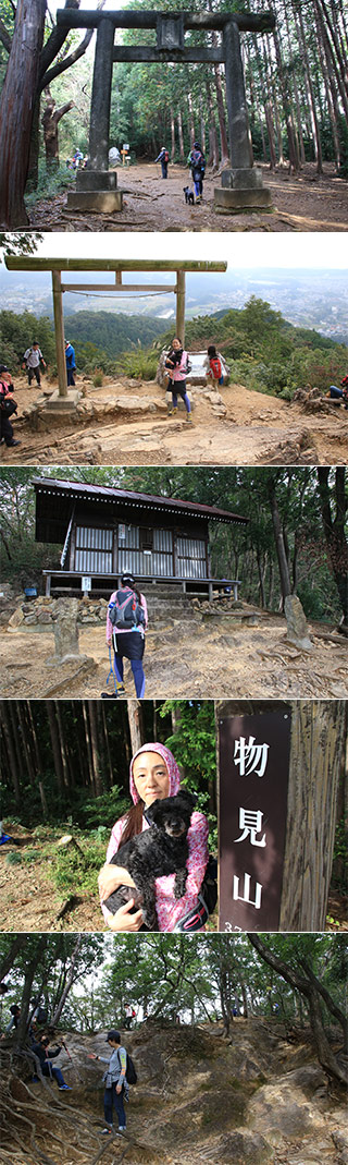 Mt. Hiwadayama Hiking