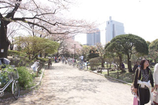 Sumida Park