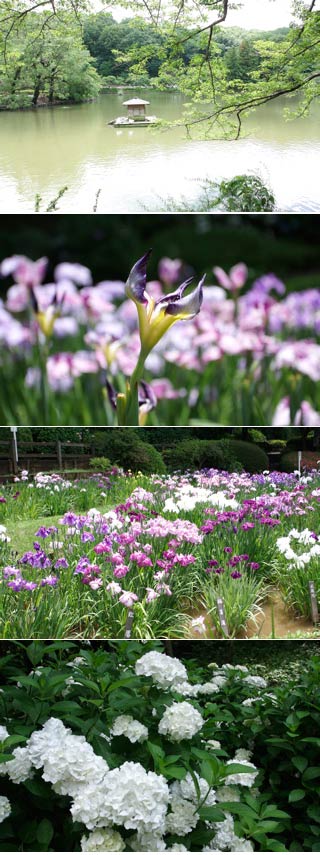 Yakushi Pond Park