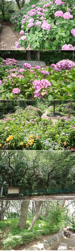 Tamagawadai Park
