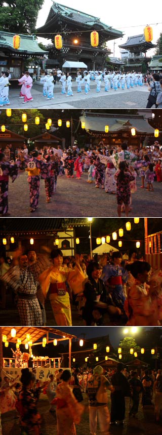 Tora-san Matsuri