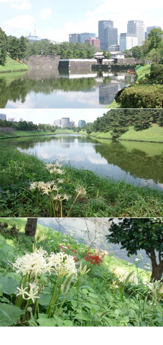 Sakurada Moat