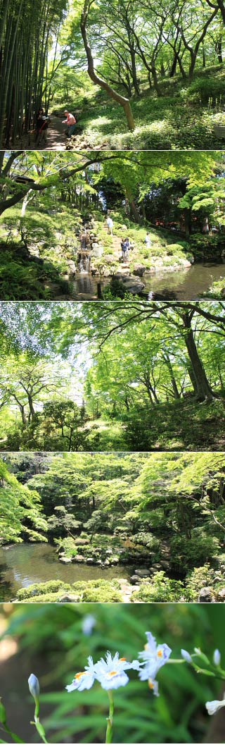 殿ヶ谷戸庭園