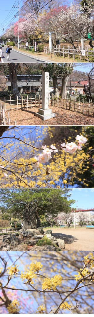 The ruins of Kobotoke Sekisho