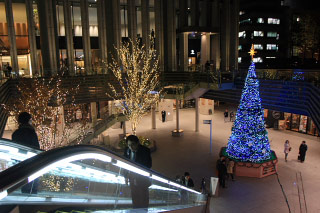 Winter Sola Illumination