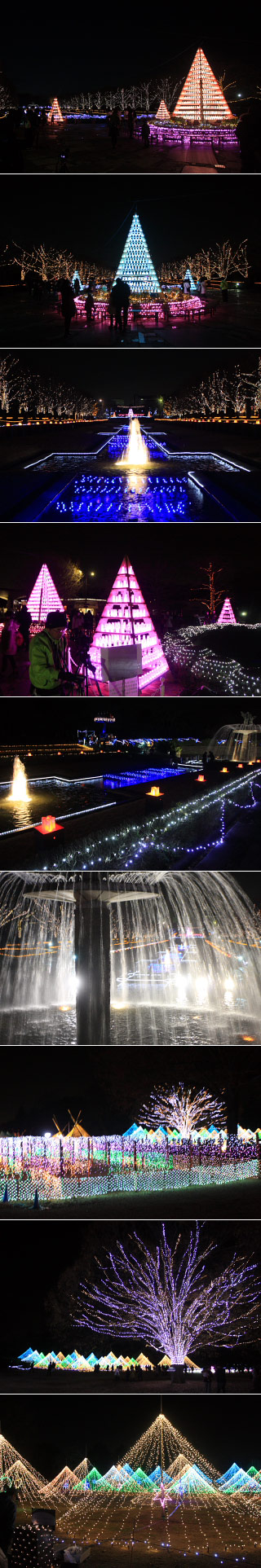 Showa Kinen Park Illumination