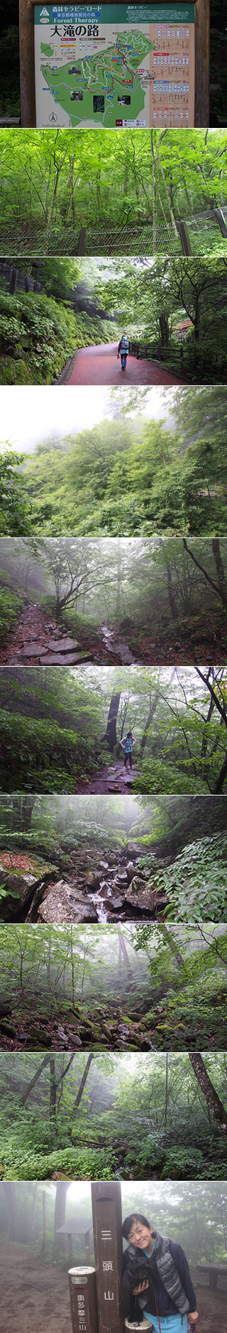 三頭山トレッキング