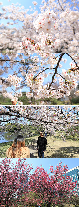 Hamarikyu Garden