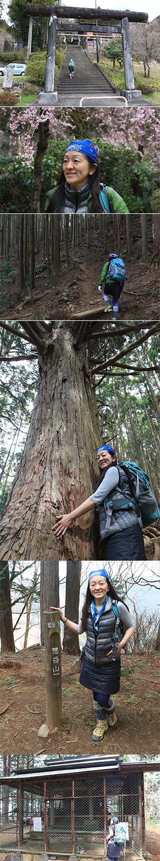 Hiking at Mt. Sogaku