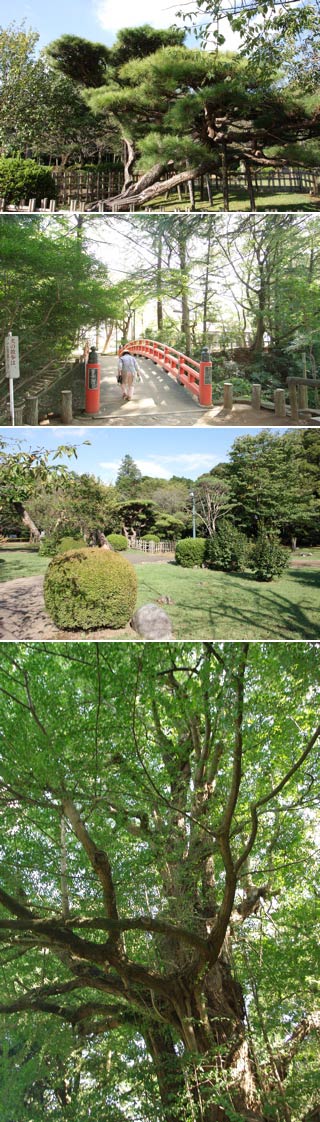 小山城