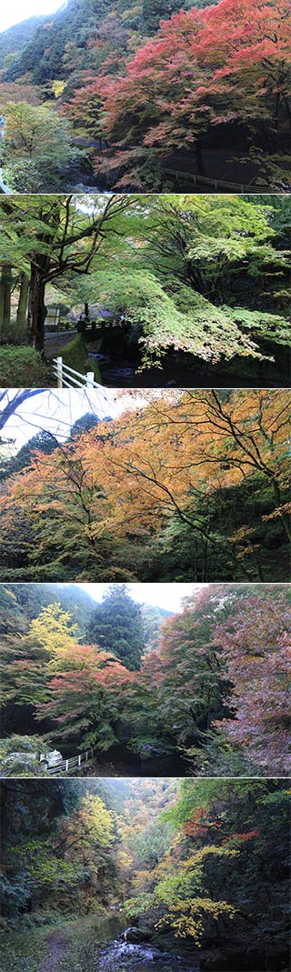 Horaisan