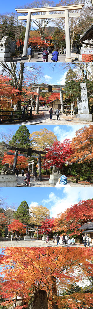 Furumine Shrine's Koyo