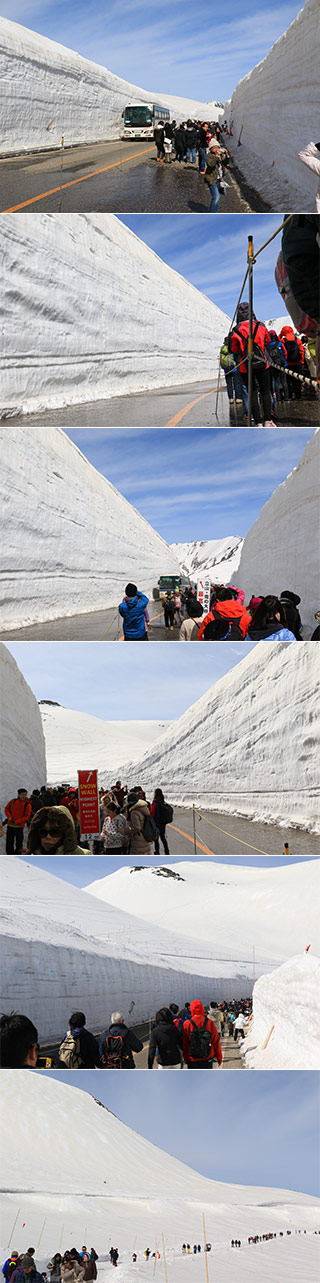 Tateyama Snow Wall