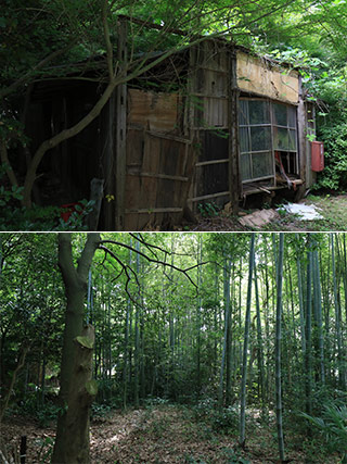 Suzuki Original House